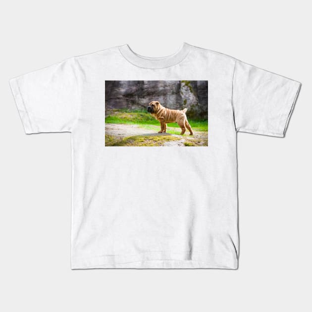 Shar Pei Puppy Kids T-Shirt by ansaharju